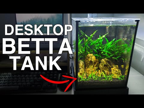 I made a simple Desktop Aquarium and you should too