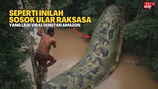 Download lagu NGERI BANGET‼️ Sosok Ular Terbesar di Dunia Terekam di Pedalaman Hutan Amazon, Bikin Dunia Heboh... mp3