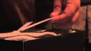 Lets Keep it a Secret - The Foxery - Life is Still Beautiful