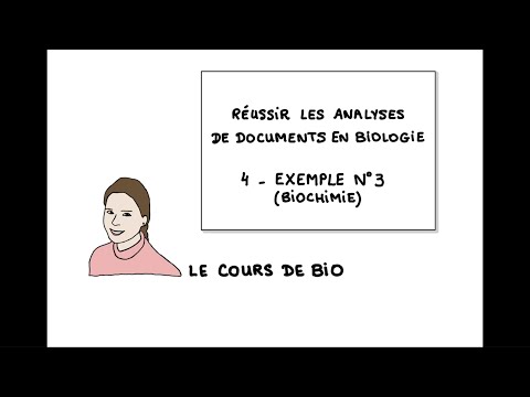 Réussir les analyses de documents en biologie : exemple 3 (biochimie)
