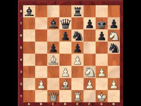 Nice win of Peter Svidler over Magnus Carlsen (Ruy Lopez)