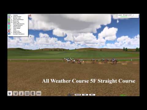 Flamingo Park Racourse Promo