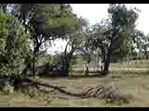 TREN GRAN CAPITAN PASANDO POR TORRENT