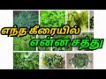 எந்த சத்து குறைபாடோ அந்த வகை கீரைளை ச�