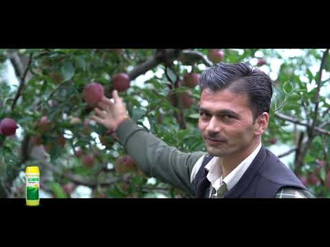 Signum – Testimonial in Himachal Pradesh, India