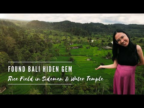 Bali Top's Most Beautiful Place in Karangasem - Rice Field in Sidemen & Tirta Gangga | Vlog Ep. #17