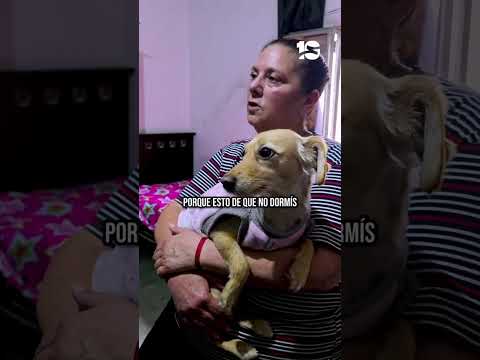 ‼️Viven en una casa con peligro de derrumbe y no reciben respuesta