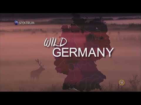 Németország vadvilága   Folyók, tavak