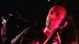 Gatos locos - Cruce de caminos