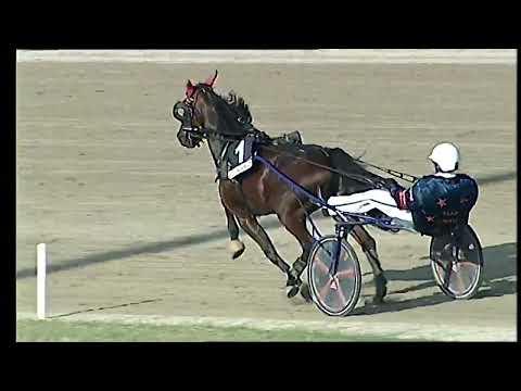 Napoli Trotto 30/09/2022 - 5ª corsa