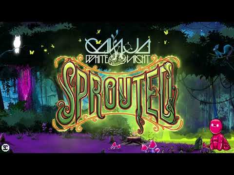 Ganja White Night x Pav4n x Jamakabi - Push It Up | Official Visualizer