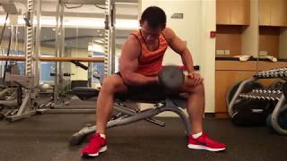 啞鈴集中彎舉 Dumbbell Concentrate Curl