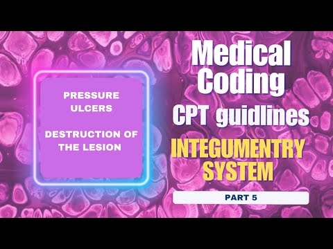CPT  -INTEGUMENTRY GUIDELINES PART-5