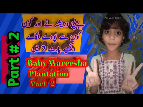 Which Plants Were Planted By Baby Wareesha. Watch in Part 2