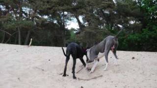 Krezip - That 'll be me