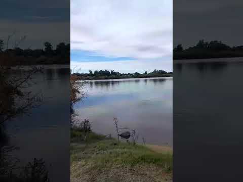 Río Negro en Mercedes, Soriano 🇺🇾 #mujerviajera #viajandoenbici #uruguay #cicloviajantes #naturaleza