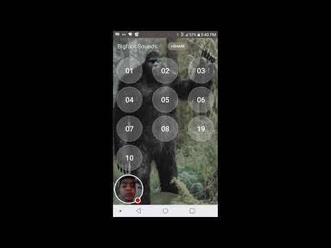 My Bigfoot Sounds Stream