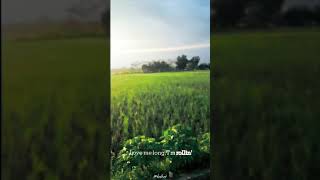 Download lagu 🔴story wa || KOPI DI PAGI HARI l1rik l4gu barat mp3 Download lagu 🔴story wa || KOPI DI PAGI HARI l1rik l4gu barat mp3