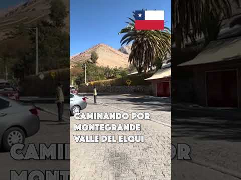 Caminando por Montegrande, comuna de Paihuano, Chile 🇨🇱