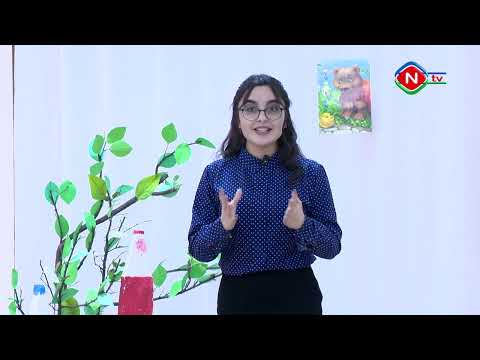 Birlikdə öyrənək - 12.02.2022