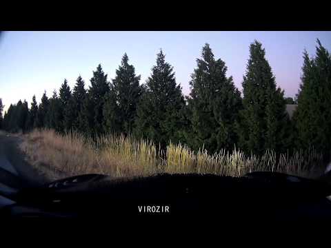 shane 54 -  international departures 544