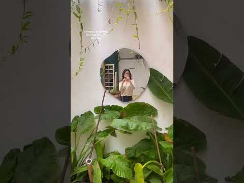 Quán cafe sân vườn chill #drink #coffee #cafe