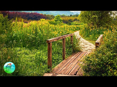 Muzică Pentru Concentrare, Studiu și Învățare - Creșterea și Amplificarea Capacităților Mentale