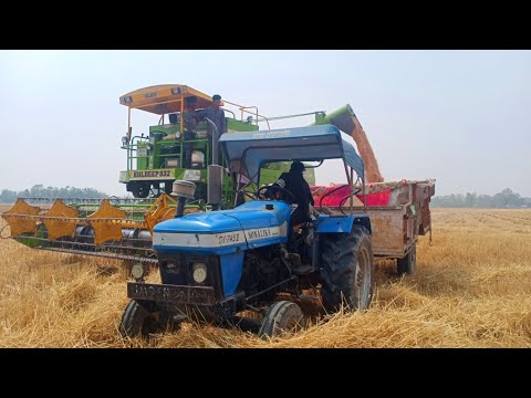 Wheat Harvesting Kuldeep 932 Combine Or Sonalika 35 Di Wheat Unloading Trolley