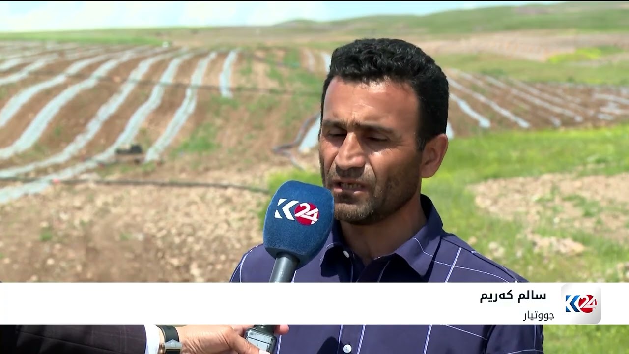 ڤیدیۆ | لە بەردەڕەش 3500 دۆنم زوی بە شووتی داچێنراوە