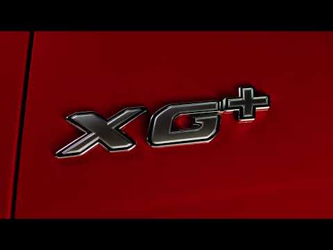 DAF MY25 Detail Shots