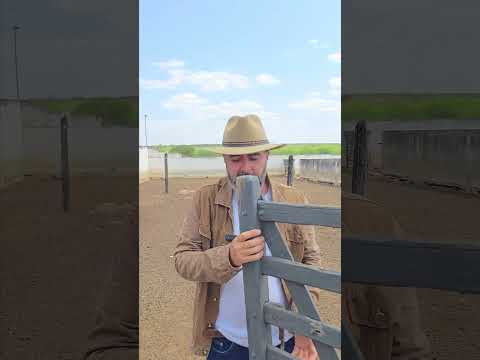 🌾 FAZENDA ALGODÃO – POTENCIAL MINERÁRIO E ESTRUTURA COMPLETA NO CARIRI PARAIBANO 🌾