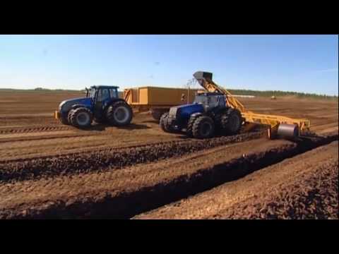 ZB 27ser - KĀ TOP Kūdra