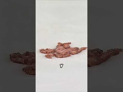 Самая странная традиция в хоккее 😳 #short