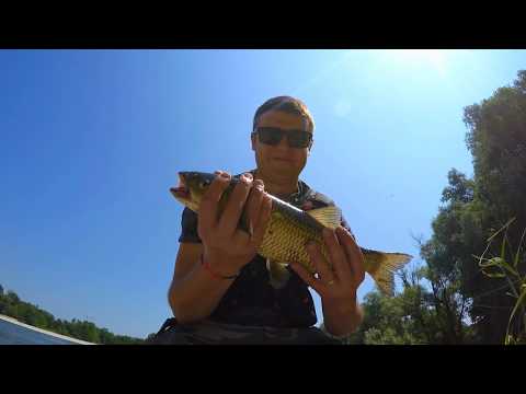 CAVEDANO A SPINNING SUL TICINO - РЫБАЛКА СПИННИНГ НА ГОЛАВЛЯ В ИТАЛИИ