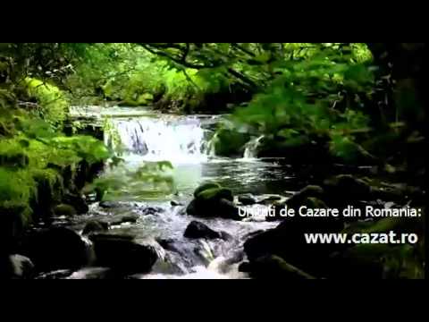 Cazare Oestii Pamanteni, Arges - Cazat.ro