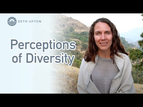 Letting go of perceptions of diversity