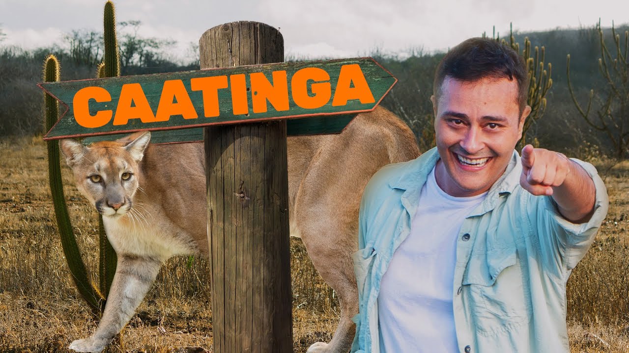 Caatinga | Biomas do Brasil | Ep.5