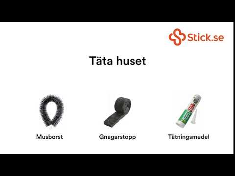 Slipp möss med tätning och musfällor från Stick.se