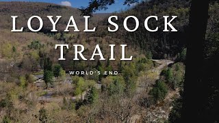 preview picture of video 'Loyalsock Trail Loop'