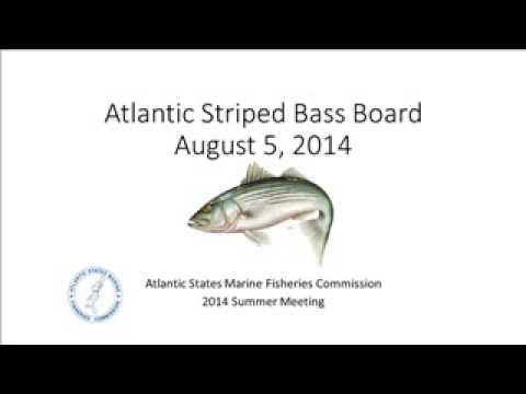 ASMFC AtlStripedBassBoard Aug2014