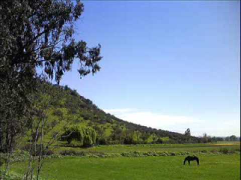 Los Cuatro de Chile - Romance del Hombre Nocturno