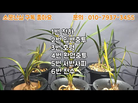 유튜브 썸네일