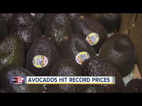 ABC Action News Latest Headlines | July 22, 5am