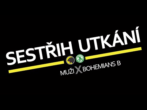 MUŽI | FbŠ Bohemians B - FbC Panthers (08.02.2015, 18. kolo)