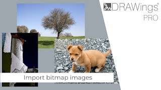 How to Import, Crop, and Resize Bitmap Images for Embroidery