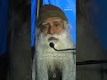 Don T Try To Understand Life Sadhguru Innerengineering Kailashyatra Spirituality