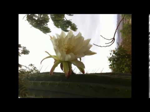 Dar sin esperar nada a cambio 31 07 2014