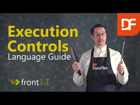 Execution Controls Dataflex Language Guide