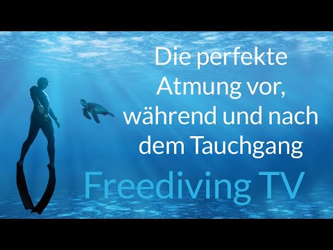 Die perfekte Atmung vor, während und nach dem Tauchgang (Freediving TV #4)