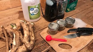Old Time Horseradish. ( And One Way It Was Used )